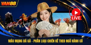 Đá Gà - Sảnh Cược Trực Tuyến Hấp Dẫn Dành Cho Anh Em
