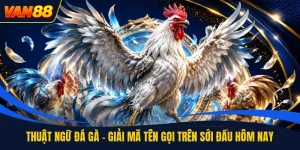 Đá Gà - Sảnh Cược Trực Tuyến Hấp Dẫn Dành Cho Anh Em